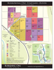 BOV_1763_Vineyard_Map_Oliver_HR