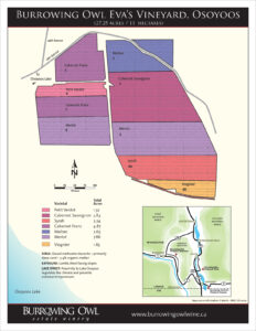 BOV_1763_Vineyard_Map_Osoyoos_HR